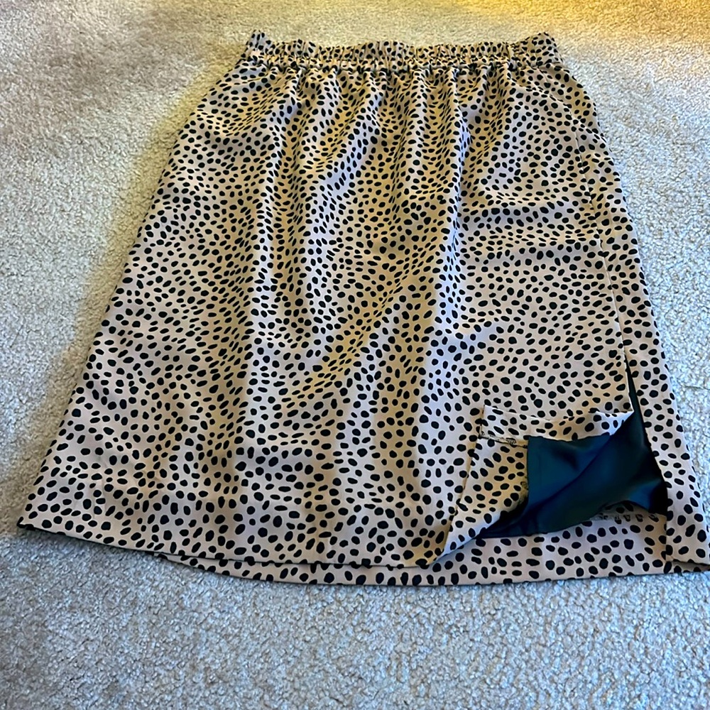 JCrew Midi Skirt